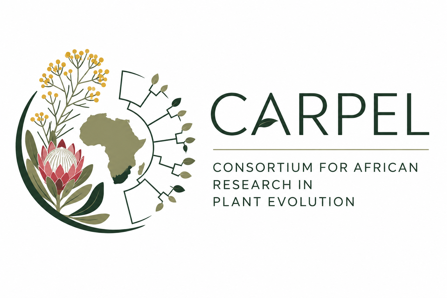 CARPEL — Consortium for African Research in Plant Evolution